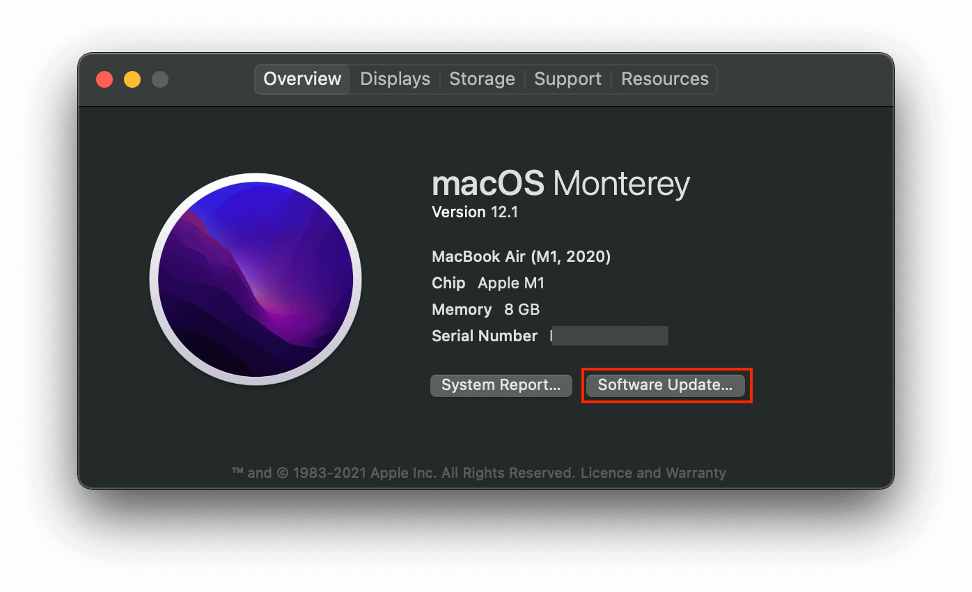 check for updates on macOS